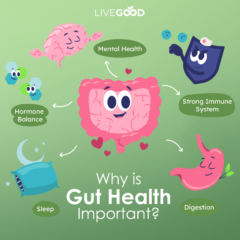 LiveGood Probiotic Gut Support