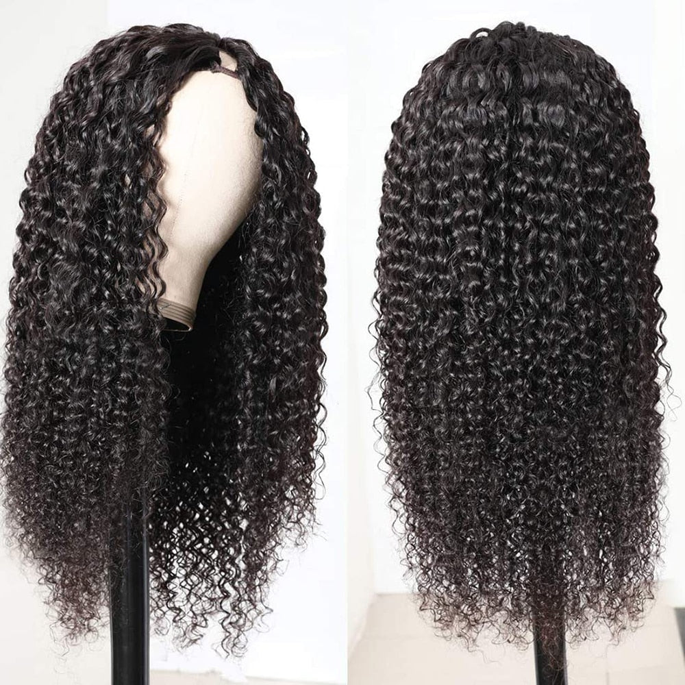 Curly Wave Brazilian Human Hair Wig