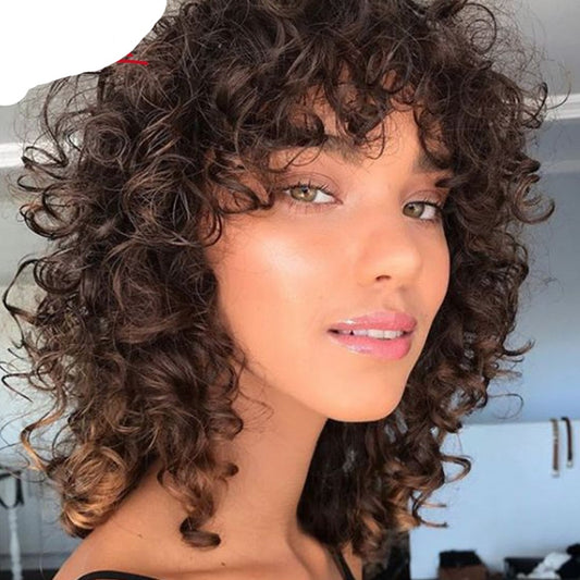 Curly Human Hair Wig For Women