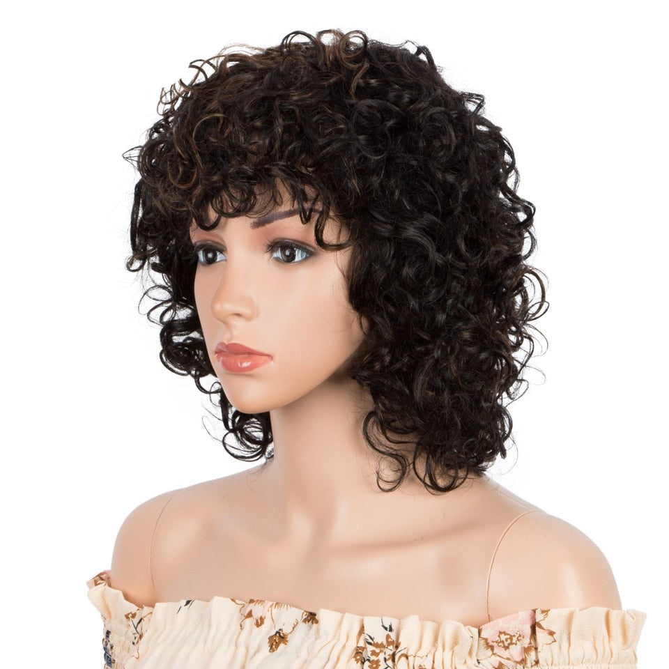 Curly Human Hair Wig For Women