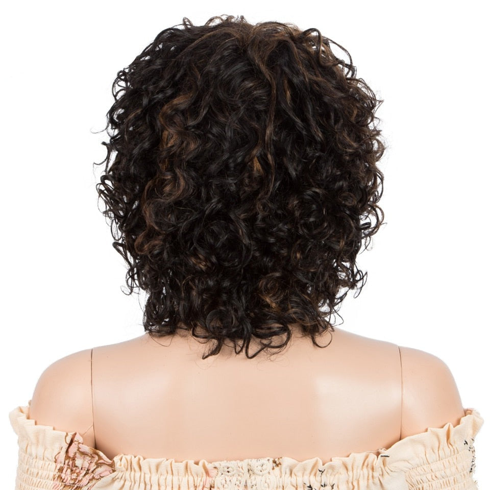 Curly Human Hair Wig For Women