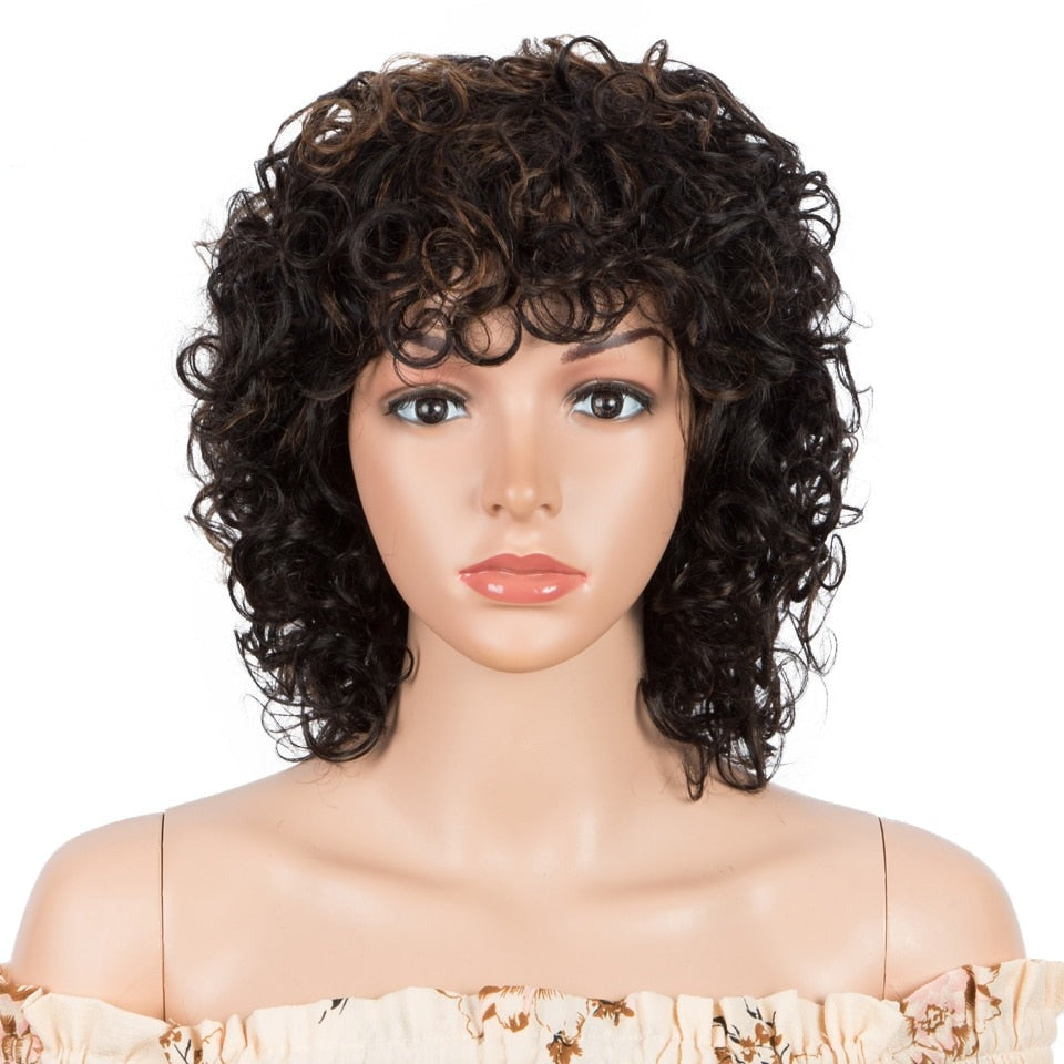 Curly Human Hair Wig For Women