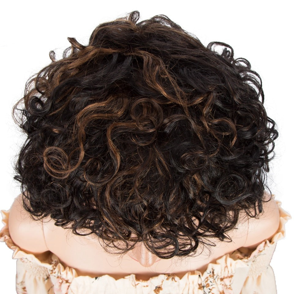 Curly Human Hair Wig For Women