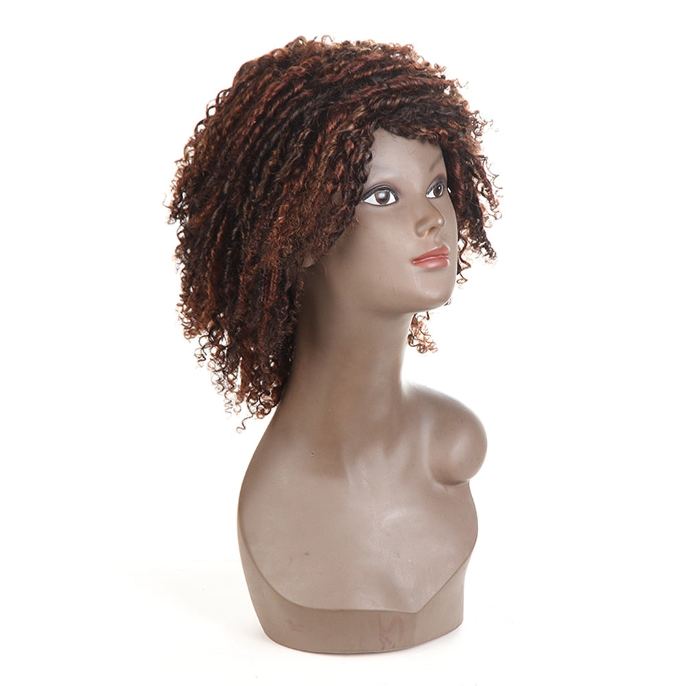 Short Curly Human Hair Wig