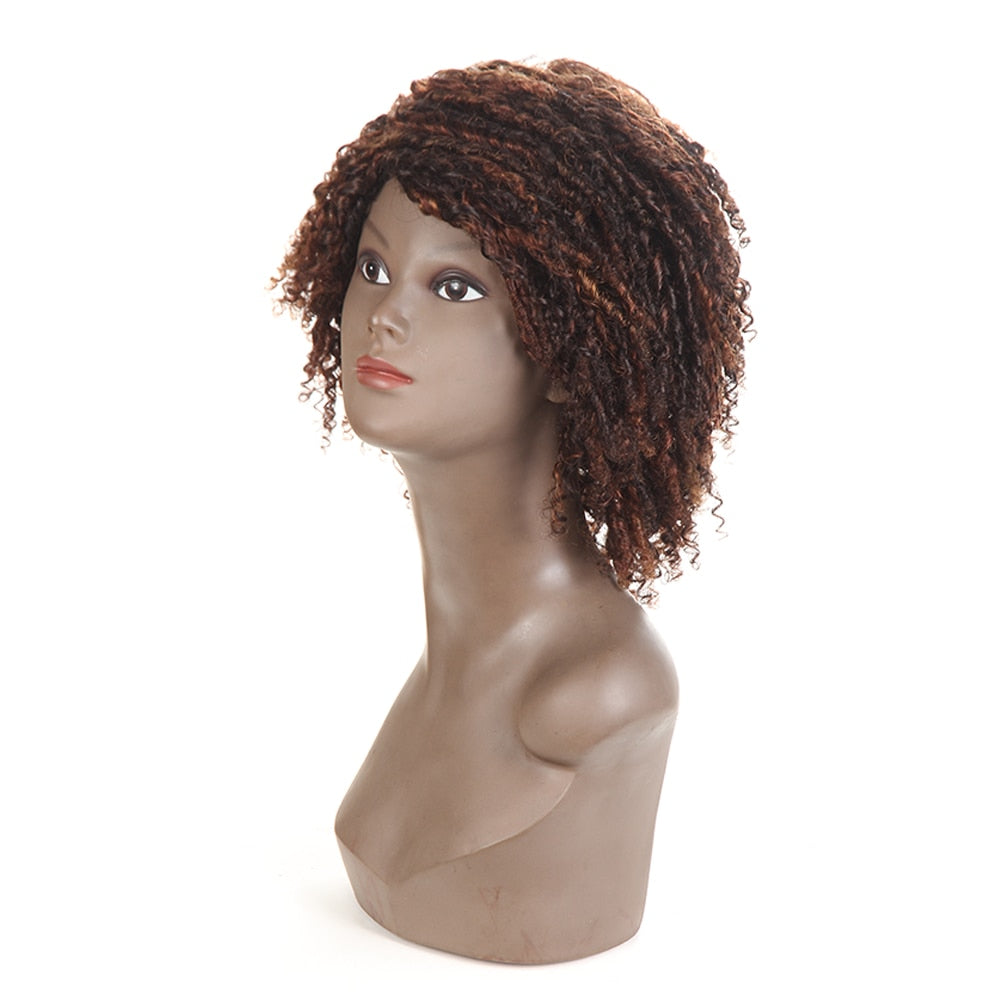 Short Curly Human Hair Wig