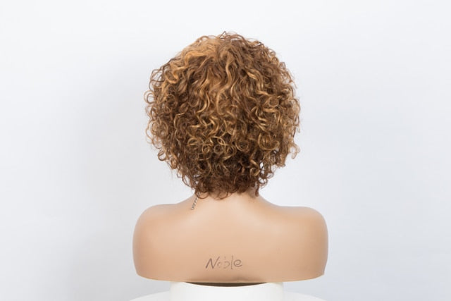 Curly Human Hair Wig For Women