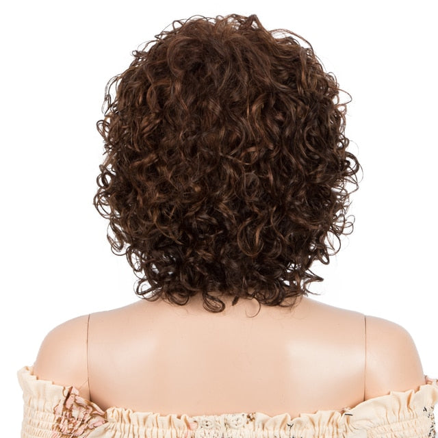 Curly Human Hair Wig For Women