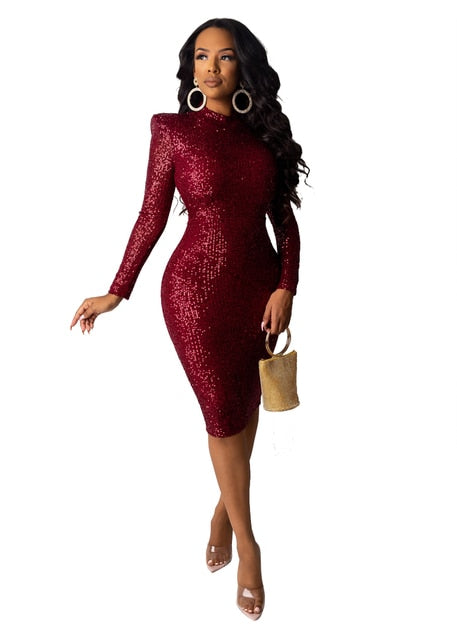 Sequined Bodycon O-neck Party Dress for Women