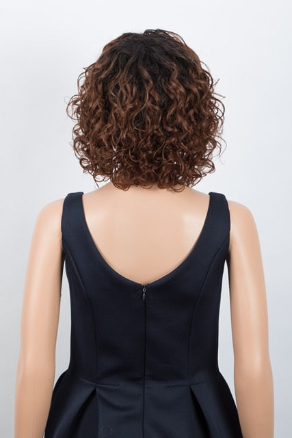 Curly Human Hair Wig For Women