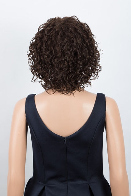 Curly Human Hair Wig For Women