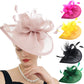 Charming Feather Fascinator Hat – Women’s Wedding, Cocktail, Tea Party Mesh Flower Headpiece with Headband
