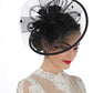 Women’s Fascinator Hat with Feather & Mesh – Alice Headband Hair Clip for Weddings, Cocktail Parties, Kentucky Derby & Tea Parties