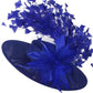 Elegant Flower Fascinator Hat with Feathers – Women’s Pillbox Headband for Weddings, Kentucky Derby & Special Events