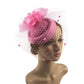 Vintage Simulated Net Flower Fascinator – Multi-Color Feather Hairpin for Women
