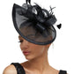 Charming Feather Fascinator Hat – Women’s Wedding, Cocktail, Tea Party Mesh Flower Headpiece with Headband