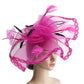 Fascinators Hat Mesh Floral Feather Fascinator Headband for Wedding Cocktail Tea Party or Special Occasion