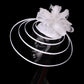 Fashion Sinamay Fascinator – Elegant Floral Wedding Hat with Feathers, Hair Clip for Ladies, Church & Special Events