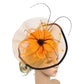 Women’s Fascinator Hat with Feather & Mesh – Alice Headband Hair Clip for Weddings, Cocktail Parties, Kentucky Derby & Tea Parties