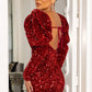 Puff Sleeve Night Party Mini Dress