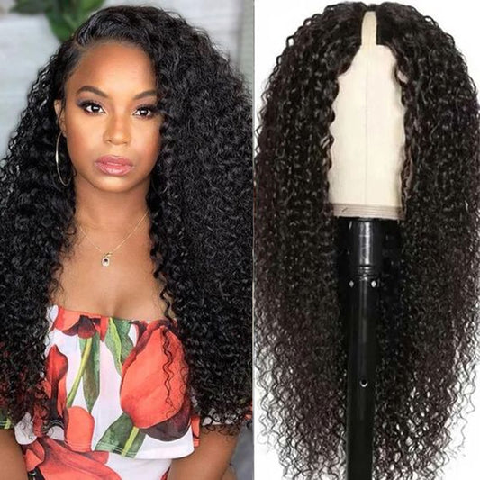 Curly Wave Brazilian Human Hair Wig