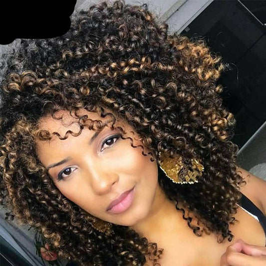 Short Curly Human Hair Wig