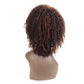 Short Curly Human Hair Wig