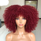 Short Hair Afro Kinky Curly Synthetic Wig With Bangs