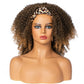 Kinky Curly Synthetic Headband Wigs For Women